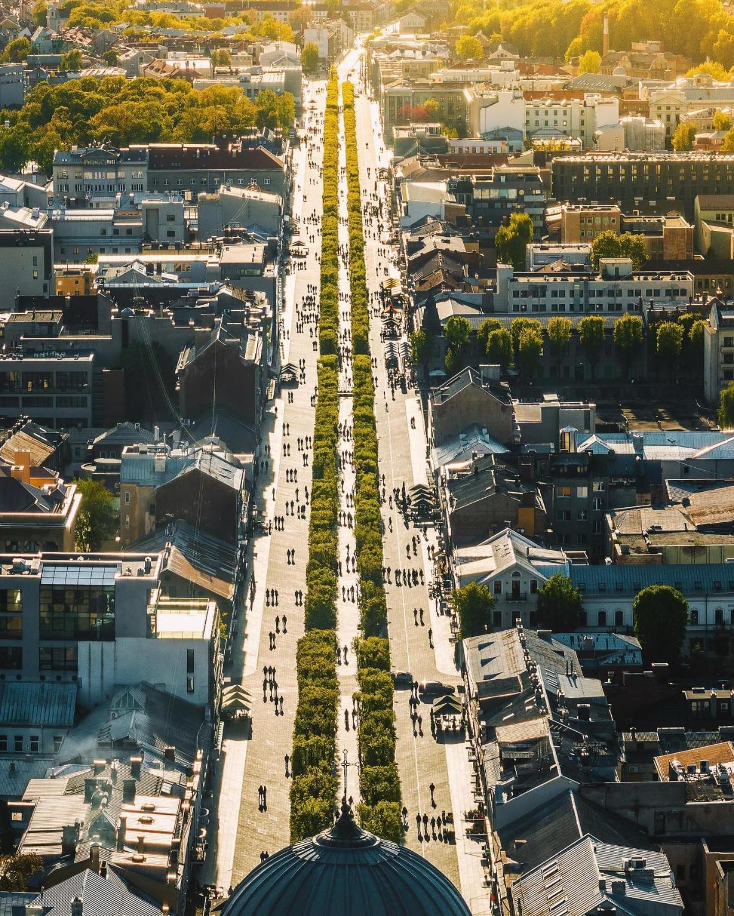 Central Park Apartments - The Luxury Collection Kaunas Dış mekan fotoğraf