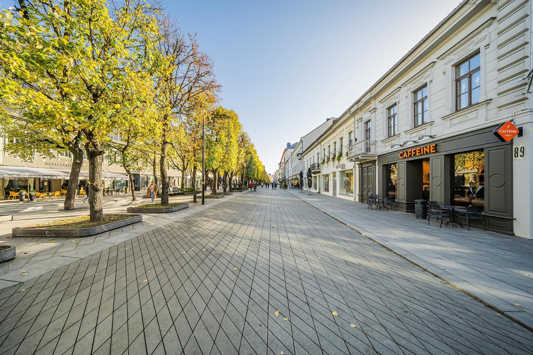 Central Park Apartments - The Luxury Collection Kaunas Dış mekan fotoğraf
